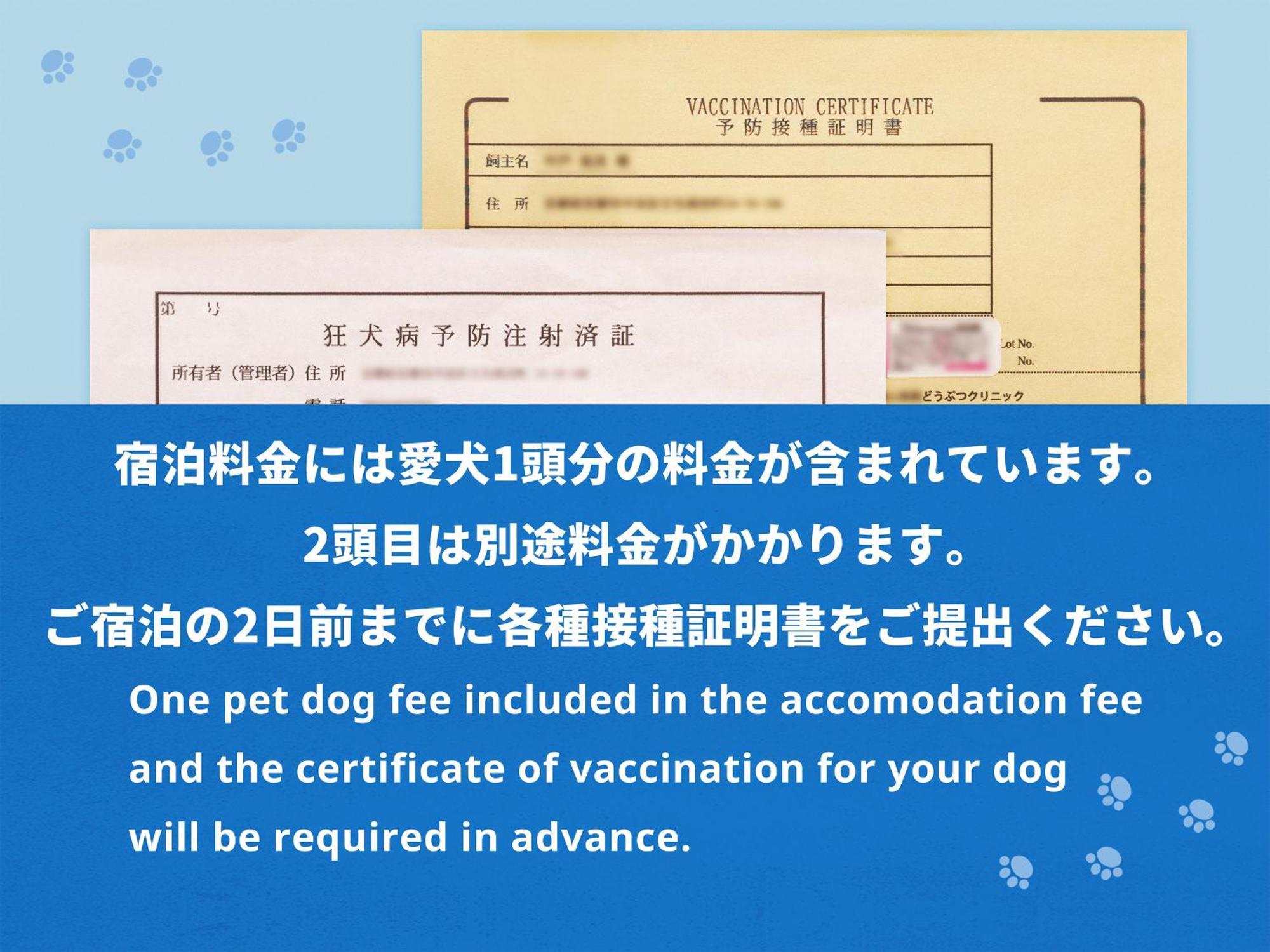 Hotel Anddoggy Kyoto Nijo Номер фото