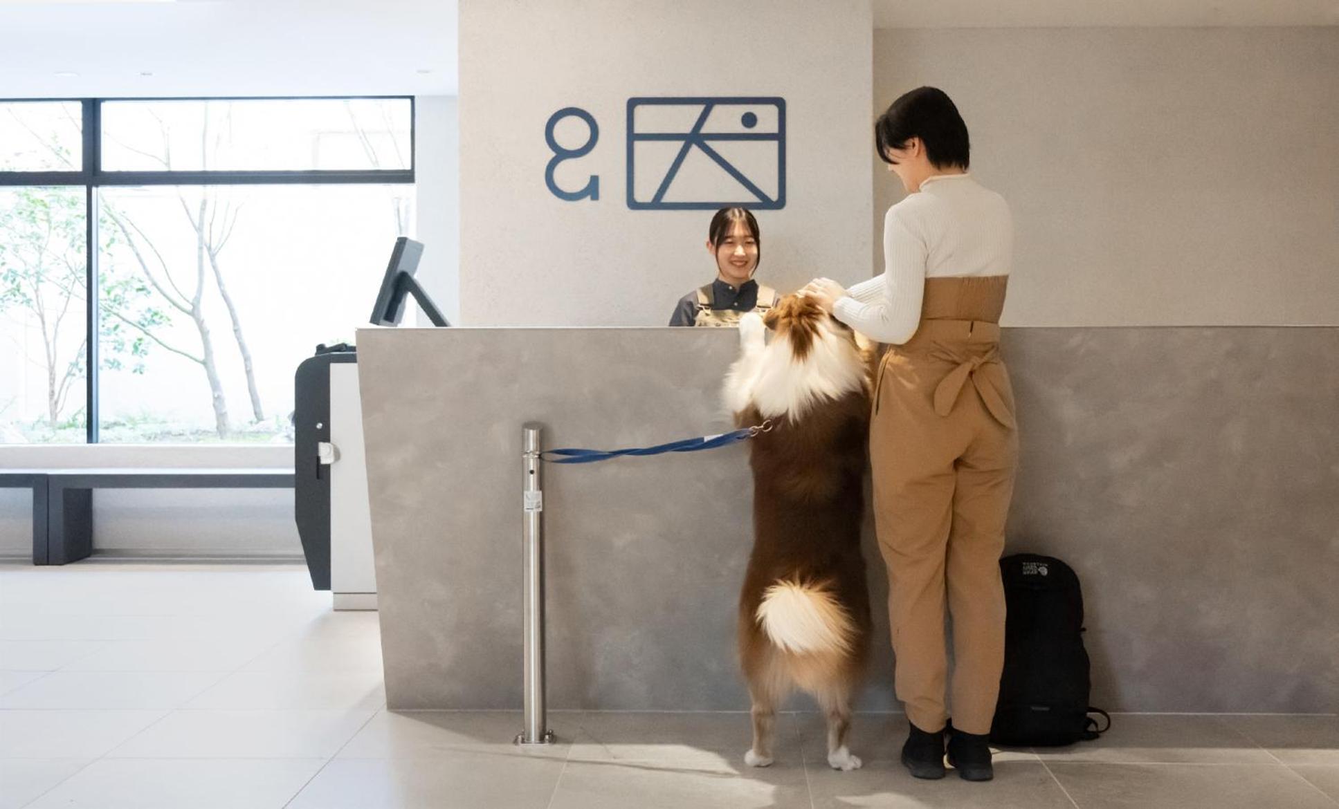 Hotel Anddoggy Kyoto Nijo Екстер'єр фото