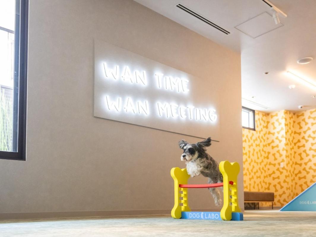 Hotel Anddoggy Kyoto Nijo Екстер'єр фото