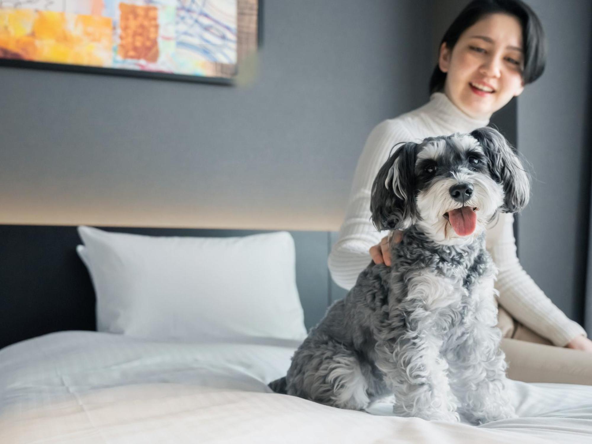Hotel Anddoggy Kyoto Nijo Екстер'єр фото
