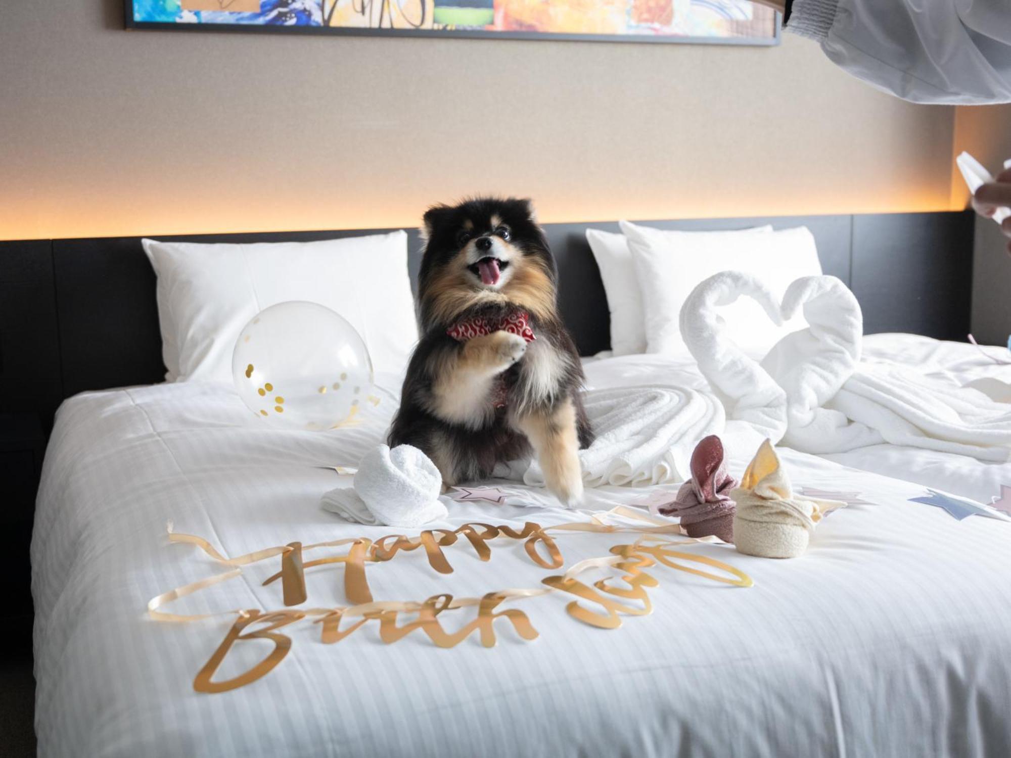 Hotel Anddoggy Kyoto Nijo Екстер'єр фото