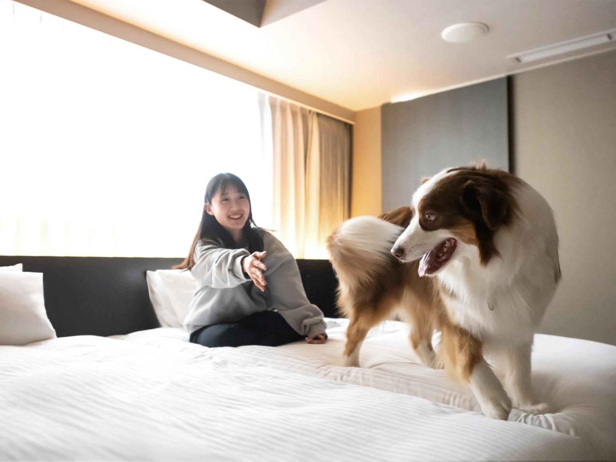 Hotel Anddoggy Kyoto Nijo Екстер'єр фото